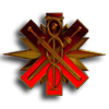 Basic Medic Combat Badge