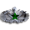 Veteran Command Badge