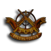 Basic Sniper Combat Specialist Badge (SF)