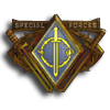 Basic Spec Ops Combat Specialist Badge (SF)