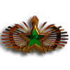 Basic Command Badge